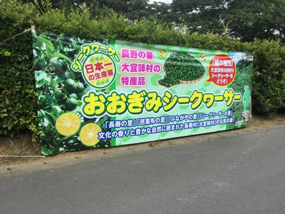 平成29年度青切りシークヮーサー初出荷式 in 大宜味村押川
