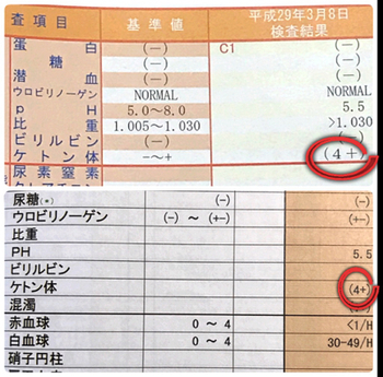 体 は ケトン と