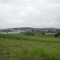 癒やされ風景＊ご近所散歩 2013/06/08 15:19:52