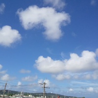 冬瓜大好き♡ 2013/06/15 10:07:39