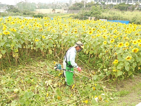 お花巡り＊ドライブ