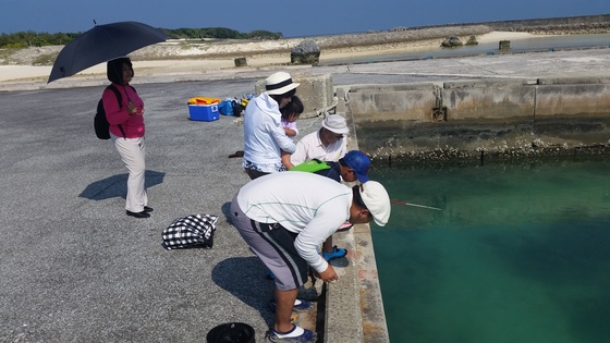 島心 すまぐくる 25年振りの多良間島水納島