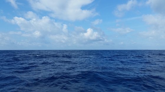 先週のリベンジ多良間島