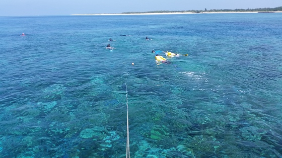 浜松からリベンジ多良間島ツアー2日目～