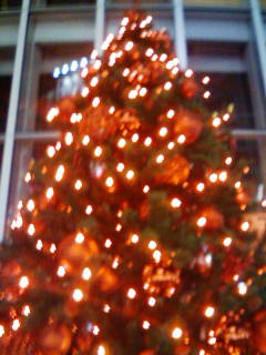 赤いクリスマスツリー やんばる慕情