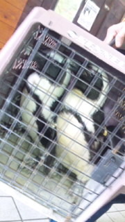 ペンギンさん 2010/11/02 10:29:04