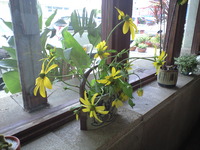 明けました 2011/01/04 17:14:01