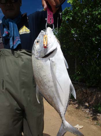 釣果報告