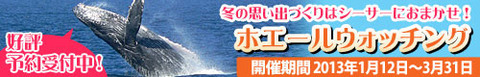 1/12　ファンダイビング　in　ケラマ