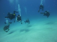 FUNダイビング！！11.25（Fuuuログ） 2012/11/25 20:00:50
