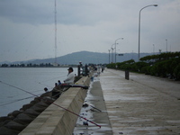 超久々・・・ 2009/03/08 20:35:06