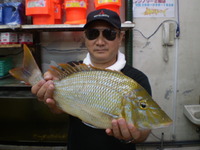 オール・BBX 2009/09/12 21:51:57
