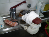 ついに壊れた・・・ 2009/10/04 14:38:17