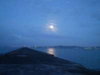 朝開けの月 2009/04/12 02:20:24