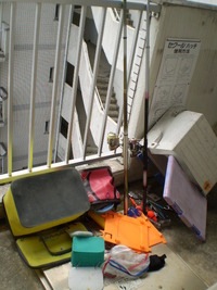 今日の・・・ 2010/04/11 11:15:15