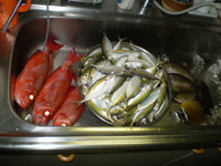 ガツンの料理