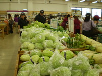 新鮮野菜