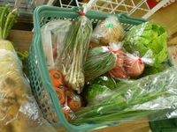 新鮮野菜
