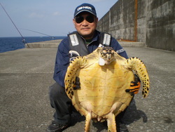 思いがけ無い大物・・・