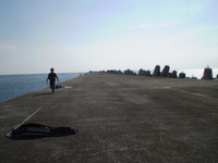 夏本番 2010/06/29 19:36:08