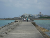 熱田漁港で・・・ 2010/07/04 21:29:35