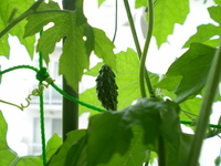 感動・・・ 2010/07/07 06:38:20