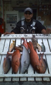 本命・撃沈しかし・・・