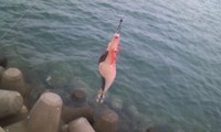 エギング 2011/03/31 21:44:16