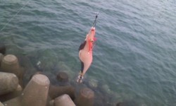 エギング