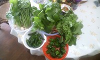 収穫 2011/04/27 18:54:04