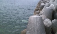 半年振りの浮き釣りへ・・・ 2011/04/29 19:01:45