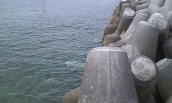 半年振りの浮き釣りへ・・・