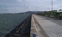 ガーラフィバー 2011/06/18 10:56:50