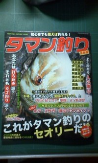 タマン釣り 2011/07/13 19:31:06