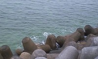 遠征中止の為近場釣行 2011/08/26 08:13:34