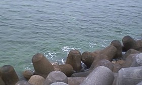遠征中止の為近場釣行