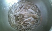 大漁 2011/09/24 18:16:04