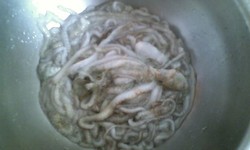 大漁