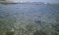 ２週連続・・・ 2011/10/24 19:36:47