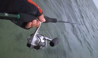 泡瀬干潟最終調査 2011/11/05 20:52:24