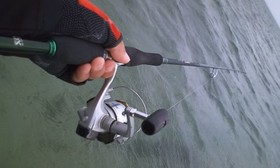 泡瀬干潟最終調査