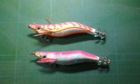 イカエギ 2011/11/10 20:46:31