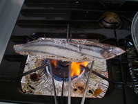 いただきました・・・ 2009/05/05 18:57:12