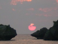 １周年が過ぎました。 2010/03/01 19:07:14