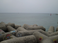 下見・・・ 2009/03/21 15:28:03