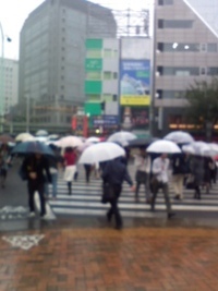 雨の東京！ 2009/10/07 09:16:16
