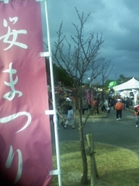 八重岳の桜まつり！ 2010/01/18 17:15:00