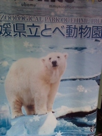 しろクマのピース ! 2010/07/18 20:09:07