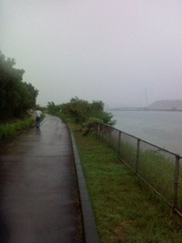 今朝はしとしと雨が降っていました。 2010/08/27 14:20:00