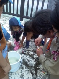 奥武山公園にて! 2010/11/14 12:13:52